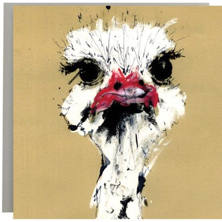 Ostrich card by Anna Wright